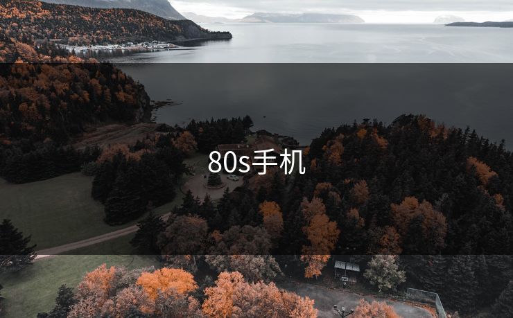 80s手机